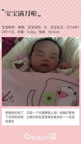 journal_insert_pic_1162316677