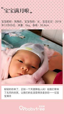 journal_insert_pic_1162208145