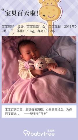 journal_insert_pic_1162446710