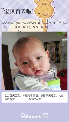 journal_insert_pic_1162564254