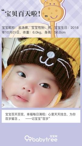 journal_insert_pic_1162990128