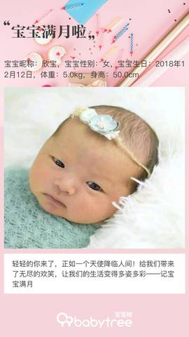 journal_insert_pic_1163323073