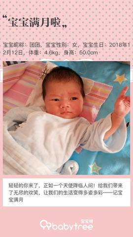 journal_insert_pic_1163352970