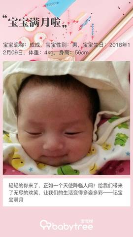 journal_insert_pic_1163441360