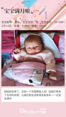 journal_insert_pic_1164433106
