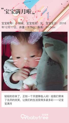 journal_insert_pic_1165386764