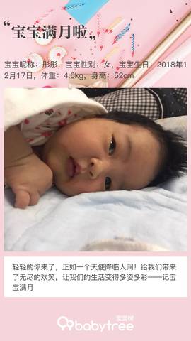 journal_insert_pic_1164946233