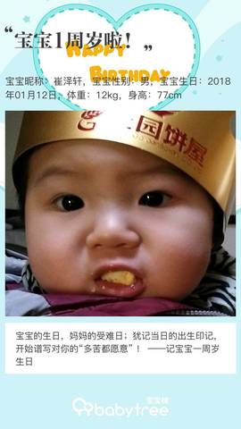 journal_insert_pic_1165237775