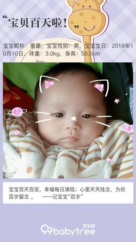 journal_insert_pic_1165071107