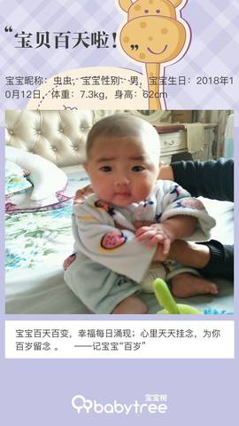 journal_insert_pic_1164936584