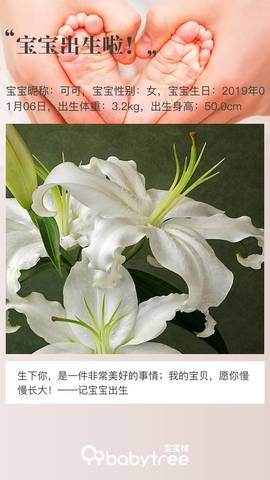 journal_insert_pic_1165789086