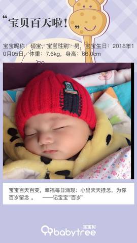 journal_insert_pic_1166069955