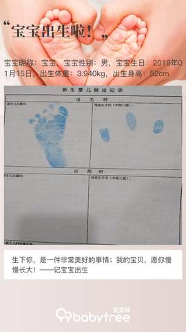 journal_insert_pic_1165964365