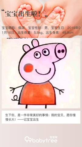 journal_insert_pic_1167240468