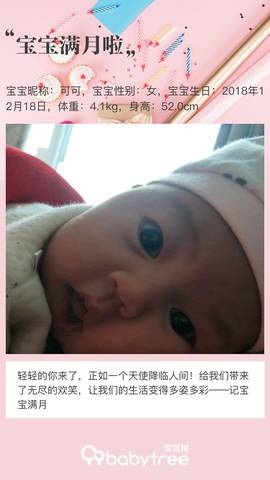 journal_insert_pic_1167140262