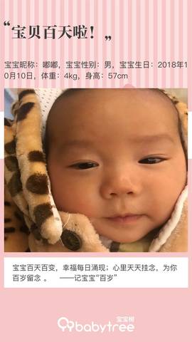 journal_insert_pic_1167102742