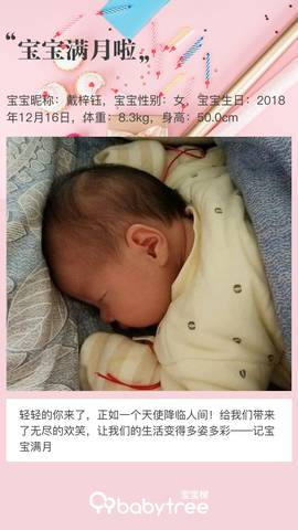 journal_insert_pic_1167009232