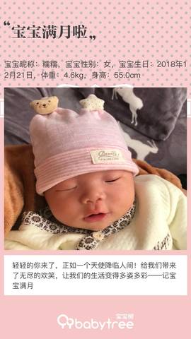 journal_insert_pic_1167170156