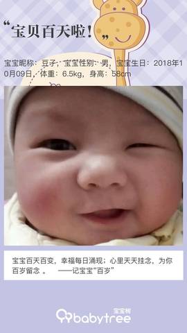 journal_insert_pic_1167554193