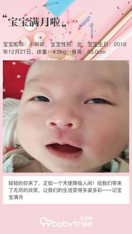 journal_insert_pic_1167842294