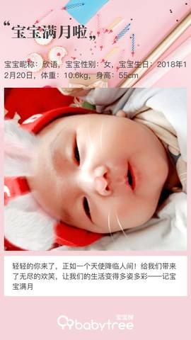 journal_insert_pic_1168745738