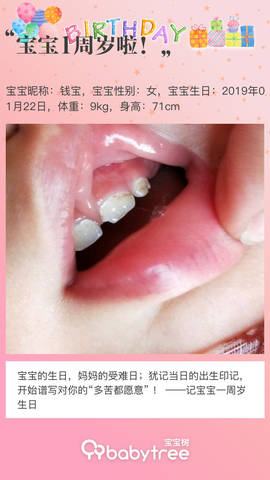 journal_insert_pic_1169125144