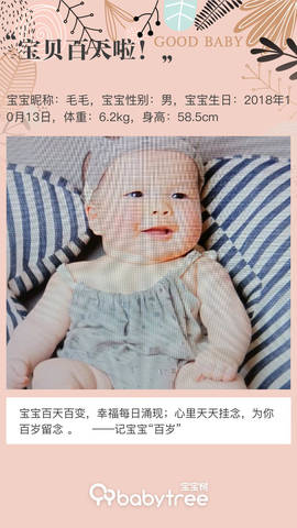 journal_insert_pic_1169615957