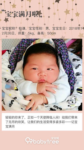 journal_insert_pic_1169514640