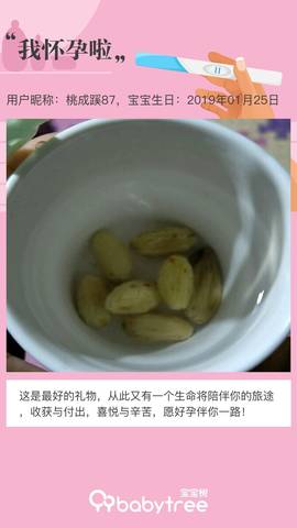 journal_insert_pic_1170441471