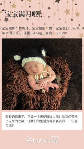 journal_insert_pic_1172501402