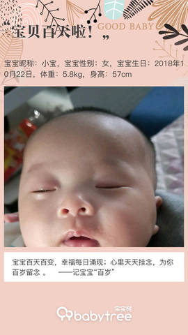 journal_insert_pic_1173273406