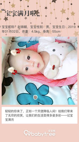 journal_insert_pic_1173802373
