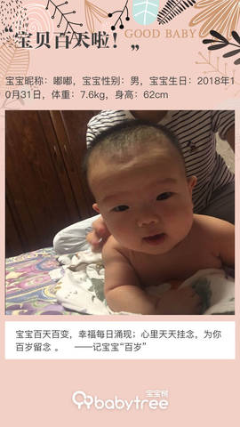 journal_insert_pic_1176012233