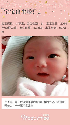 journal_insert_pic_1177607997
