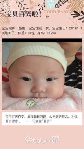 journal_insert_pic_1178230770