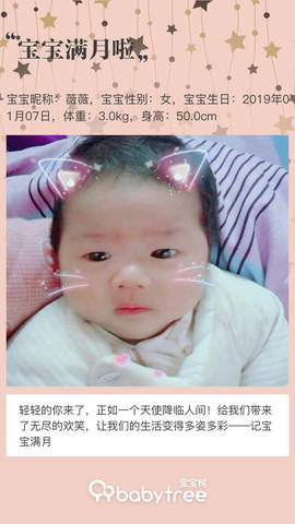 journal_insert_pic_1179052516
