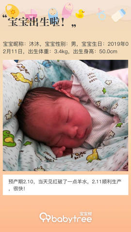 journal_insert_pic_1179733306