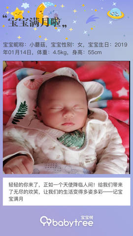 journal_insert_pic_1179909773