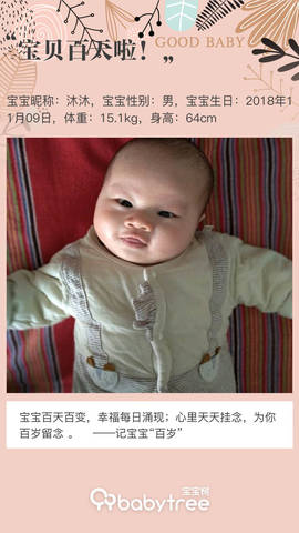 journal_insert_pic_1179387008