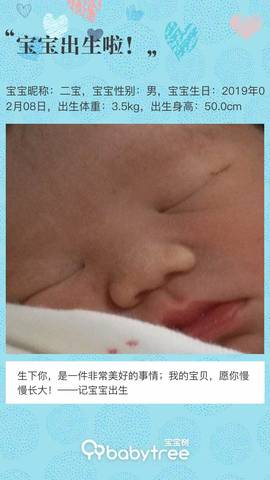 journal_insert_pic_1179671161