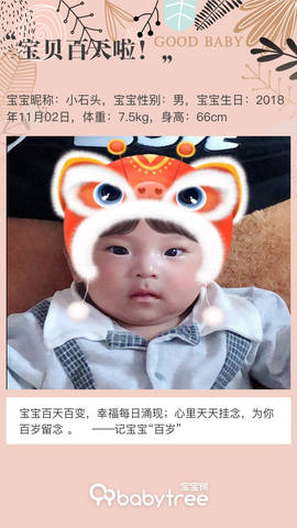 journal_insert_pic_1179530068