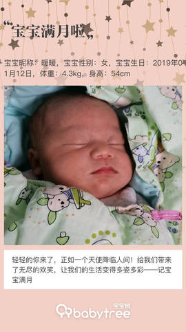 journal_insert_pic_1180545941