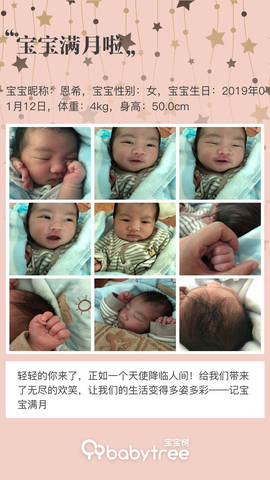 journal_insert_pic_1179962907