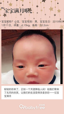 journal_insert_pic_1180402382