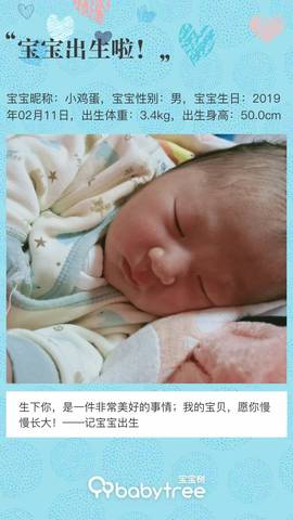journal_insert_pic_1180731786