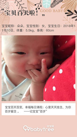 journal_insert_pic_1181316934