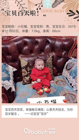 journal_insert_pic_1181669917