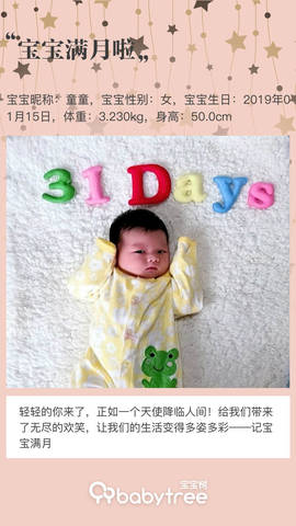 journal_insert_pic_1181847092