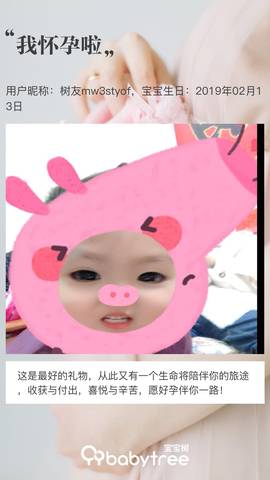 journal_insert_pic_1181437041