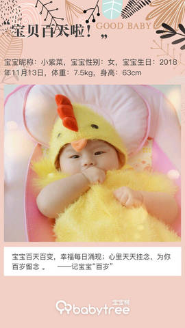 journal_insert_pic_1182246696